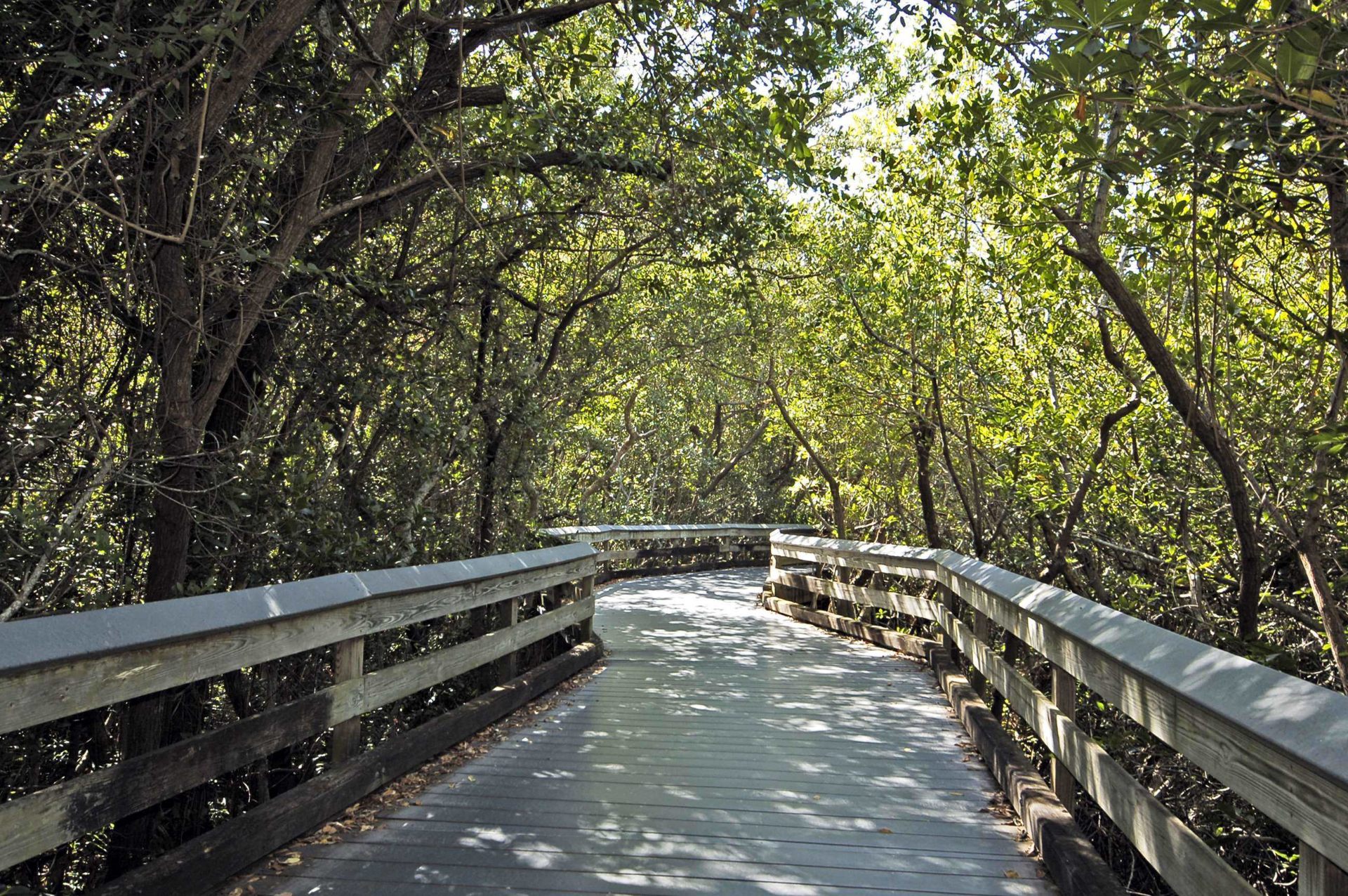 Clam Pass Nature Walk